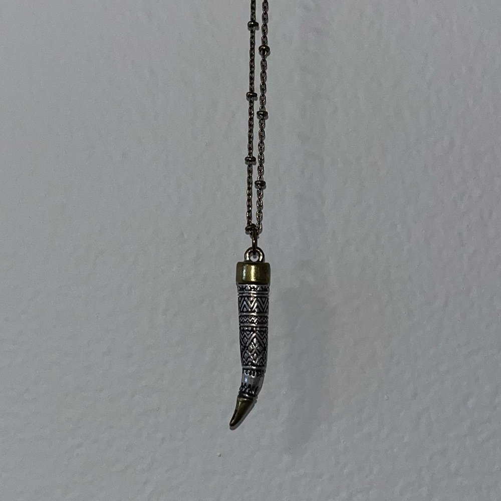 American Eagle Outfitters Gold & Silver Design Elephant Tooth Long Necklace